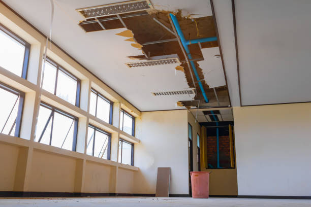 Best Water damage restoration near me  in Verdi, NV