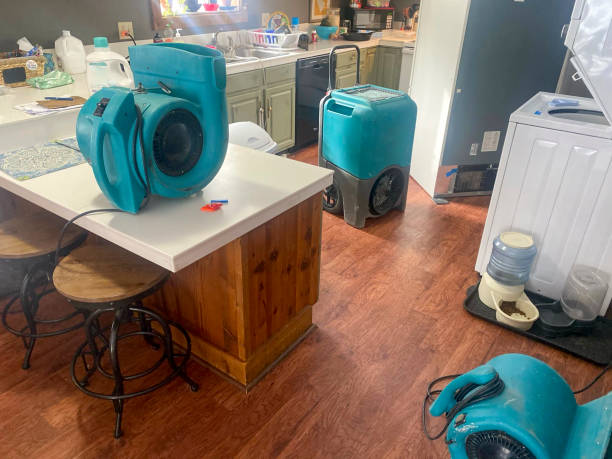 Best Ceiling water damage repair  in Verdi, NV