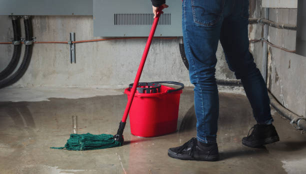 Carpet water damage restoration in NV