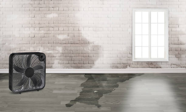 Water damage restoration experts in NV