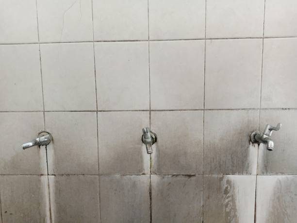 Best 24/7 water damage repair  in Verdi, NV